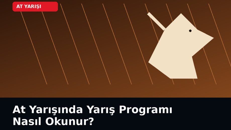 At Yarışında Yarış Programı Nasıl Okunur?